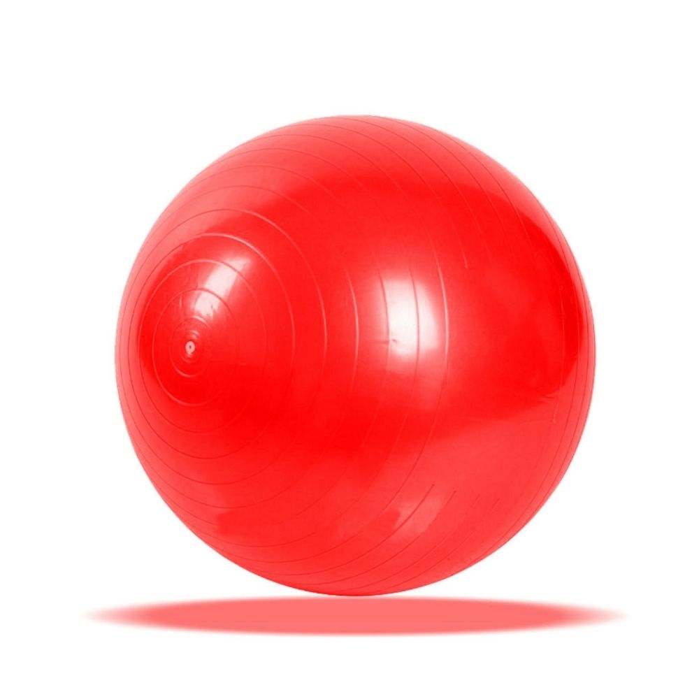 Balón de Ejercicio 65 cm con Bombín, para Yoga, Pilates, Ejercicio Terapéutico